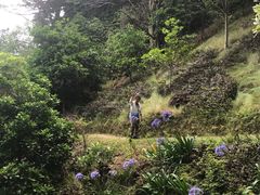 -怀希基岛
