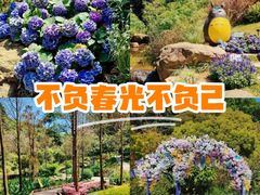 -云溪植物园