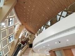 -重庆国际马戏城