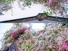 -深圳国际园林花卉博览园