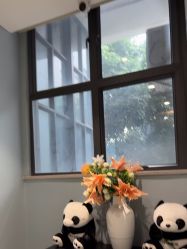 -云南吴氏嘉美医疗美容医院