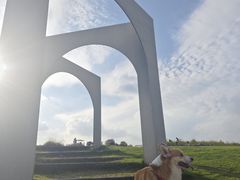 -空港花田景区