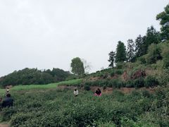 -新安江山水画廊风景区