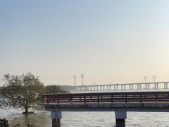 -宝安西湾红树林湿地公园