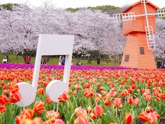 -苏州上方山国家森林公园