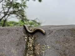 -慕田峪长城
