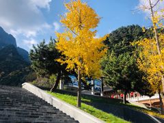 -秦岭天竺山生态文化旅游景区