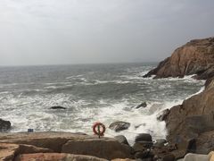 -广东惠东海龟国家级自然保护区