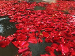 -天目湖涵田半山温泉