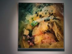 -大田秀则画廊
