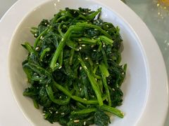金针菠菜-同心春餐饮(富宁街店)
