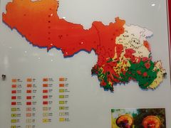 -重庆中国三峡博物馆(重庆博物馆)