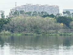 -海珠湖公园