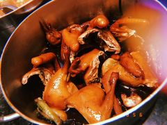 家喻私房鸽-新兴·金羊座·粤菜点心(乐峰店)
