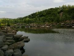 -小绿谷公园