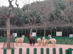 -无锡动物园·太湖欢乐园