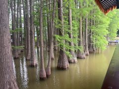 -采石矶景区