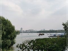 -长春市南湖公园