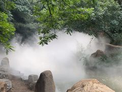 -北京西山国家森林公园