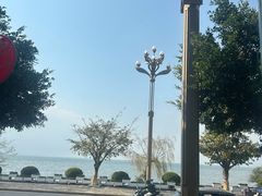 -野菌皇海景野生菌火锅(滨海大道店)