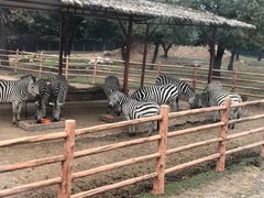 -西安秦岭野生动物园