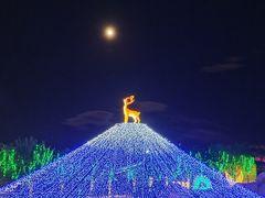 -北京鹿世界主题园