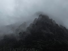 -碧峰峡风景区