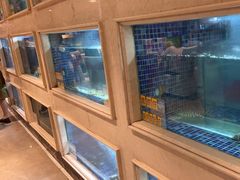 -顺峰(农展馆店)