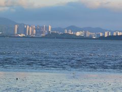 -福田红树林生态公园