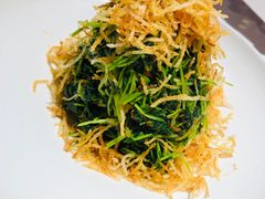 巧拌豆苗-四季民福烤鸭店(王府井灯市口店)