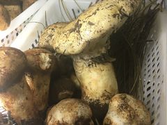 -菌之家·专业纯野生菌火锅·特色炒菌