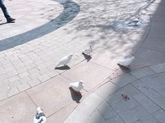 -中粮·祥云小镇