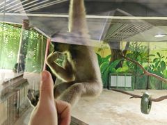 -杭州野生动物世界