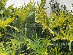 景观位-Hello·生日蛋糕·下午茶·甜品台茶歇(瑞安东山店)