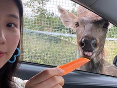 -南京金牛湖风景区