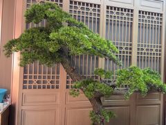 -老德州四合院·德州菜(天衢路店)