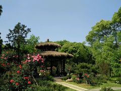-东湖落雁景区