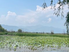 -野鸭湖国家湿地公园