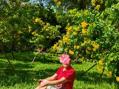 -深圳国际园林花卉博览园