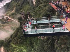 -梦幻奥陶纪景区