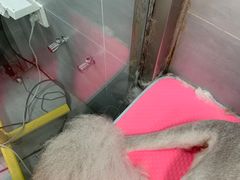 -宠福鑫康馨动物医院·骨科·眼科
