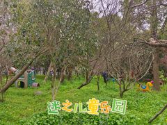 -南汇桃花村