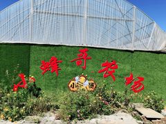 -庞各庄翠芳园西瓜蔬菜基地采摘园