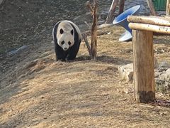 -石家庄市动物园