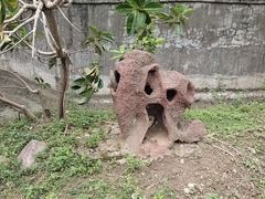 -野象谷景区
