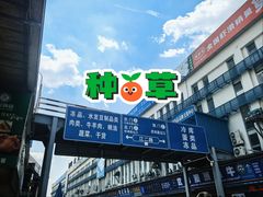 -江杨农产品批发市场