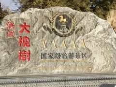 -大槐树寻根祭祖园