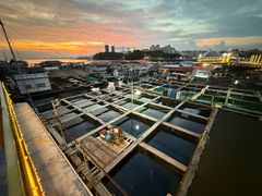 -蓝湾碧波·老字号·疍家非遗海上餐厅
