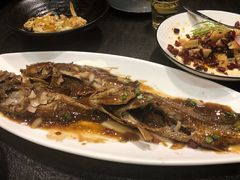 糟香黄鱼-起源小厨(应天门店)