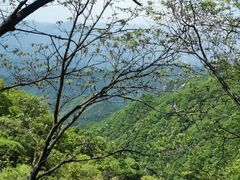 -王顺山国家森林公园